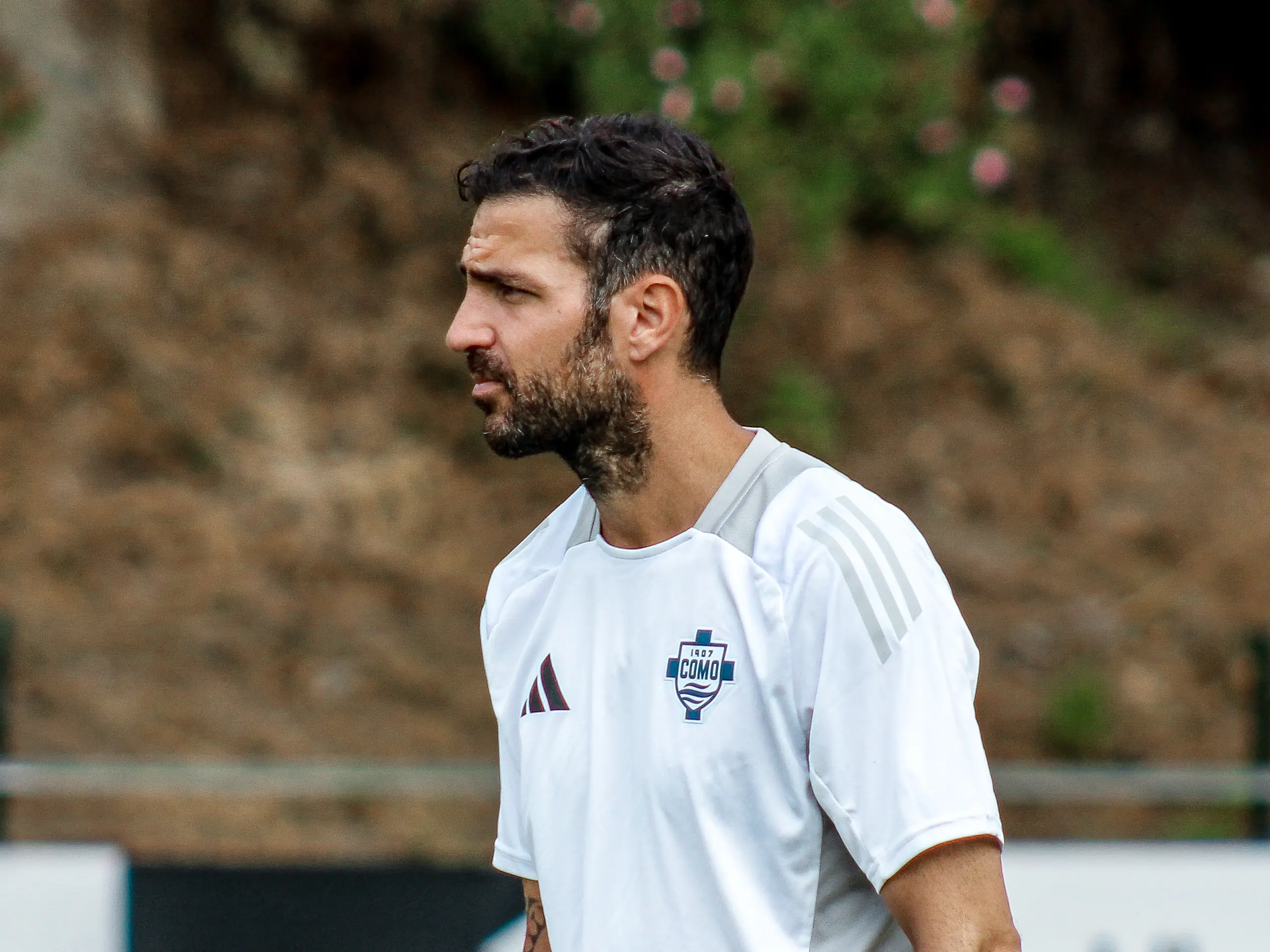 Cesc Fàbregas, allenatore del Como (foto Como)
